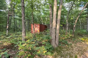 9676 N Campbell Rd, Free Soil, MI 49411 - Photo 16