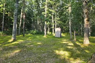 9676 N Campbell Rd, Free Soil, MI 49411 - Photo 10
