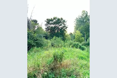 V/L Onondaga, Holt, MI 48842 - Photo 8