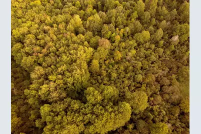 V/L Onondaga, Holt, MI 48842 - Photo 2