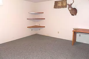 211 E Electric Ct, Sturgis, MI 49091 - Photo 16
