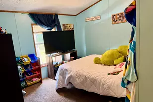 3260 W Ridge St, White Cloud, MI 49349 - Photo 14