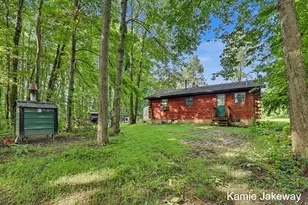 10481 Brown Rd, Fenwick, MI 48834 - Photo 22