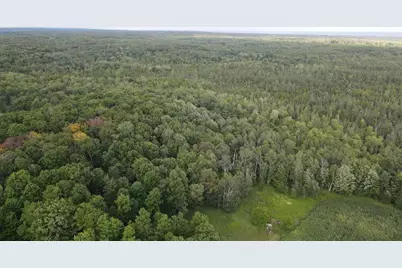 3305 S Coville Road, Mikado, MI 48745 - Photo 16