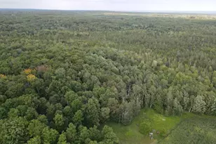 3305 S Coville Rd, Mikado, MI 48745 - Photo 16