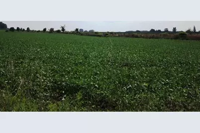 1500 Hull Street NE, Sparta, MI 49345 - Photo 10