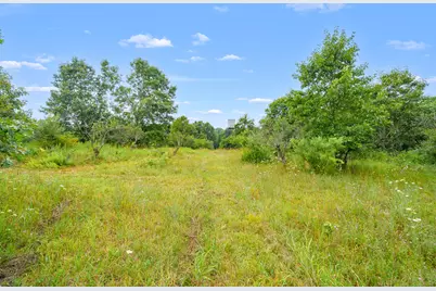 50360 29 1/2 Street, Paw Paw, MI 49079 - Photo 44