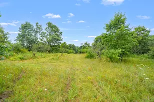 50360 29 1/2 St, Paw Paw, MI 49079 - Photo 44