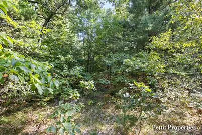 V/L S 142nd Avenue, Rothbury, MI 49452 - Photo 10