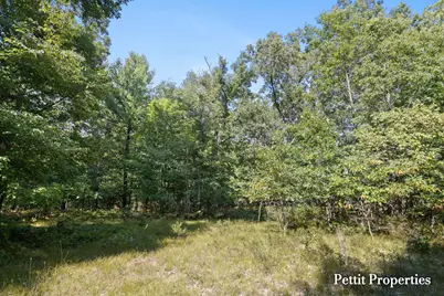 V/L S 142nd Avenue, Rothbury, MI 49452 - Photo 8