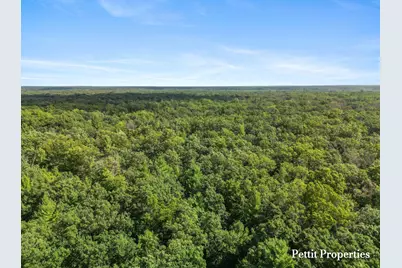 V/L S 142nd Avenue, Rothbury, MI 49452 - Photo 22