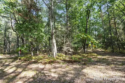 V/L S 142nd Avenue, Rothbury, MI 49452 - Photo 16