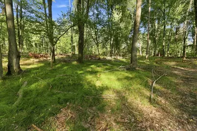 9310 140th Avenue, Stanwood, MI 49346 - Photo 24