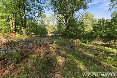 9310 140th Avenue, Stanwood, MI 49346 - Photo 32