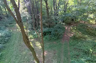 5773 M-66, East Leroy, MI 49051 - Photo 24