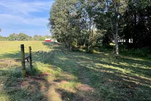 5773 M-66, East Leroy, MI 49051 - Photo 34