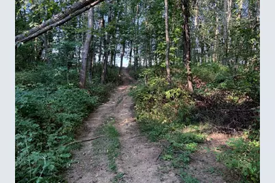 5773 M 66, East Leroy, MI 49051 - Photo 32
