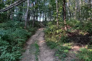 5773 M-66, East Leroy, MI 49051 - Photo 32