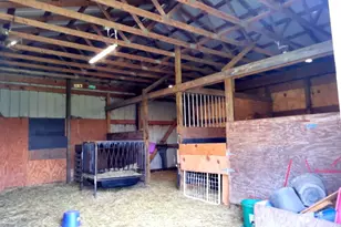 5773 M-66, East Leroy, MI 49051 - Photo 40