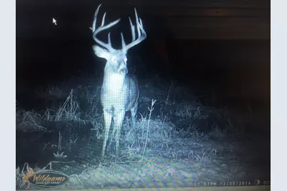 Vl Burlington Rd, Marcellus, MI 49067 - Photo 38