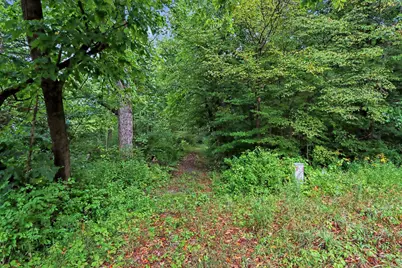 V/L Whiskey Run Rd., Paw Paw, MI 49079 - Photo 8