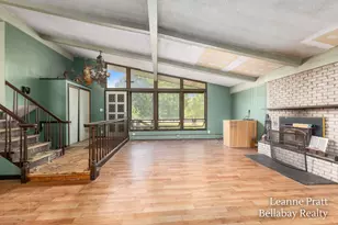 6240 S M 66 Hwy, Nashville, MI 49073 - Photo 6