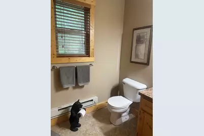 11376 S Retreats Way, Baldwin, MI 49304 - Photo 60
