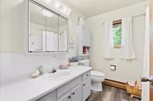 10151 Birch Dr, Riverdale, MI 48877 - Photo 20