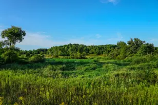 8055 N 7, Mesick, MI 49668 - Photo 34