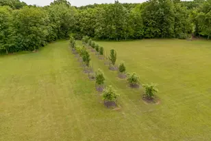 1518 M Dr S, East Leroy, MI 49051 - Photo 52