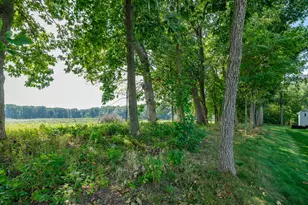 8569 Brighten Trail, Mattawan, MI 49071 - Photo 46