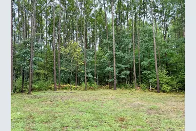 Peacock Road, Wellston, MI 49689 - Photo 10