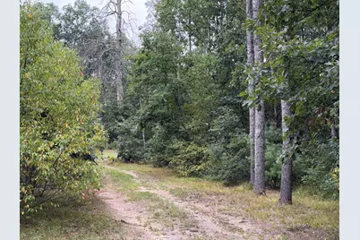 Peacock Road, Wellston, MI 49689 - Photo 14