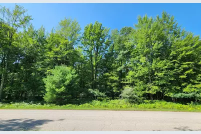 6127 Fawn Lake Drive, Canadian Lakes, MI 49346 - Photo 2