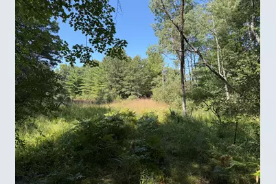 9372 W 7 Mile Road, Irons, MI 49644 - Photo 36