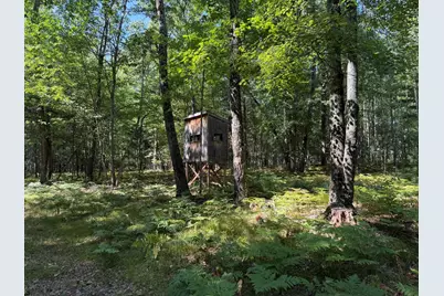 9372 W 7 Mile Road, Irons, MI 49644 - Photo 32