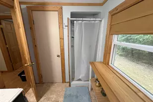7261 N Bass Lake Rd, Irons, MI 49644 - Photo 30