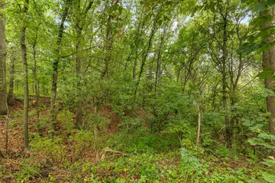 8183 Herrington Avenue NE, Belmont, MI 49306 - Photo 74