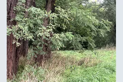 Brooklyn Road, Jackson, MI 49201 - Photo 2
