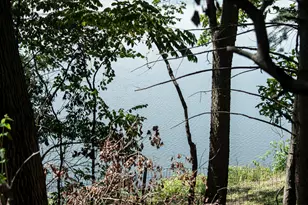 10403 S Chapin Ln, Berrien Springs, MI 49103 - Photo 36
