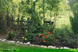 340 Albright Rd, Coldwater, MI 49036 - Photo 2