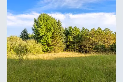 0 Jungle Inn Road, Arcadia, MI 49613 - Photo 2