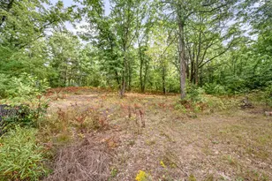 3972 115th Ave, Evart, MI 49631 - Photo 38