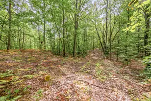 3972 115th Ave, Evart, MI 49631 - Photo 42