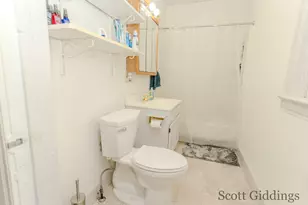 205 S Lincoln St, Stanton, MI 48888 - Photo 64