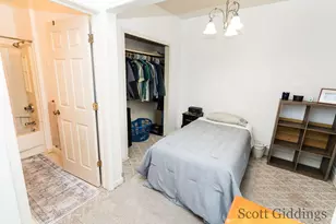 205 S Lincoln St, Stanton, MI 48888 - Photo 74