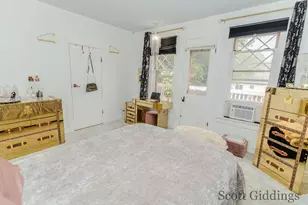 205 S Lincoln St, Stanton, MI 48888 - Photo 62