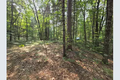 4232 E 3 1/2 Mile Road, Luther, MI 49656 - Photo 26