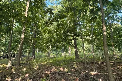Vl Crego Road, Brooklyn, MI 49230 - Photo 16