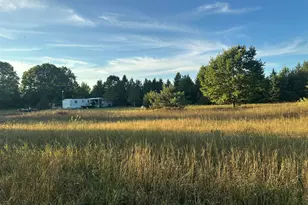1075 E Madison Rd, Hart, MI 49420 - Photo 2